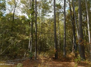Bill Banks St, Brandon, MS 39042