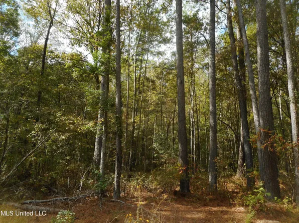 Bill Banks St, Brandon, MS 39042