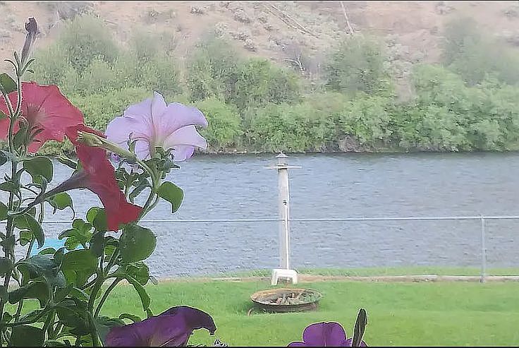 Home on the Salmon River