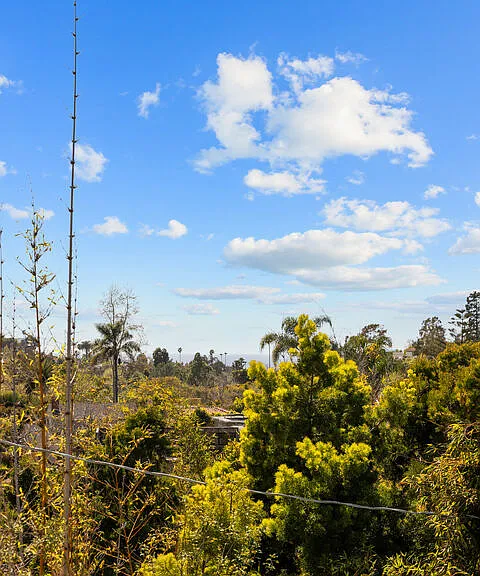587 Entrada Dr — Photo 32