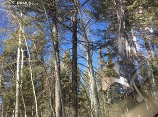 Highroad Dr, Divide, CO 80814