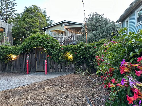 Lush landscaping w/ guava & plum trees