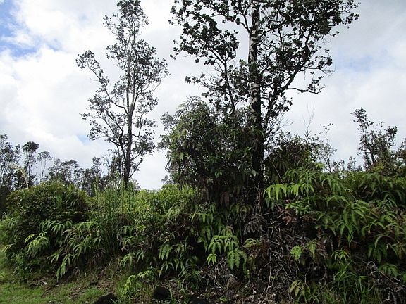 2nd image of 11-2905 Plumeria St Lot 6672