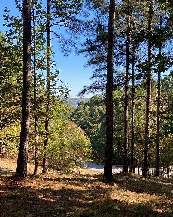 2nd image of 333 Knollwood Dr
