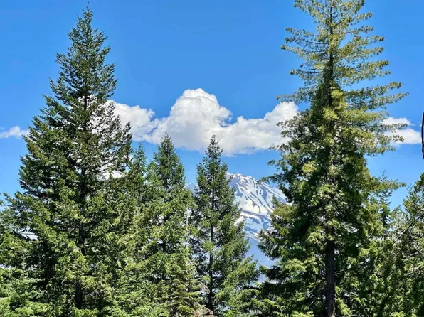 Black Bear Loop, Weed, CA 96094