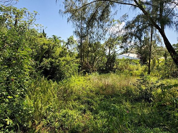 2nd image of Wahi Heiau Lot 73