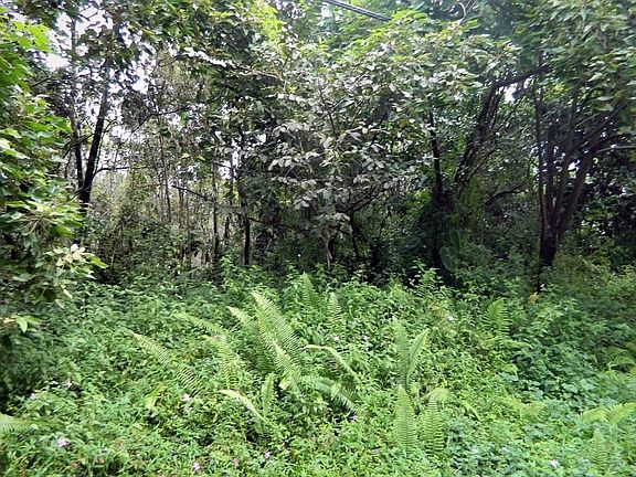 3rd image of 13-1074 N Leilani Ave Lot 31