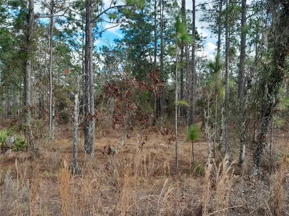 NE 150th Ave Lot 16, Williston, FL 32696