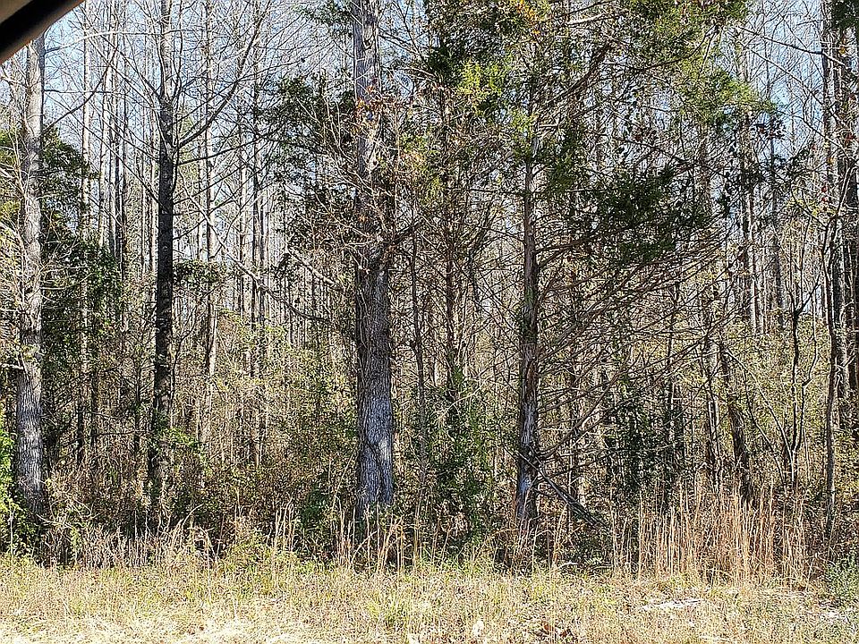 1st image of Walker Dr