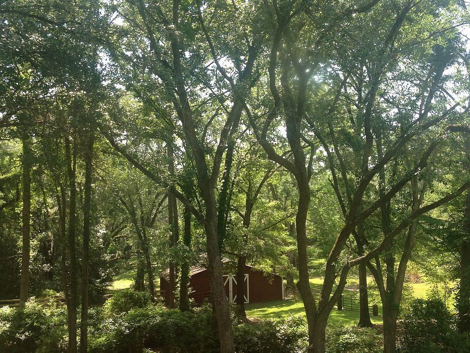2nd image of 9089 Centerville Rd