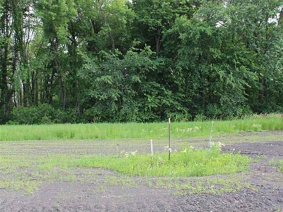 4th image of 2009 Bluestem Dr