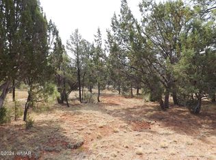 2747 Apollo Cir, Overgaard, AZ 85933