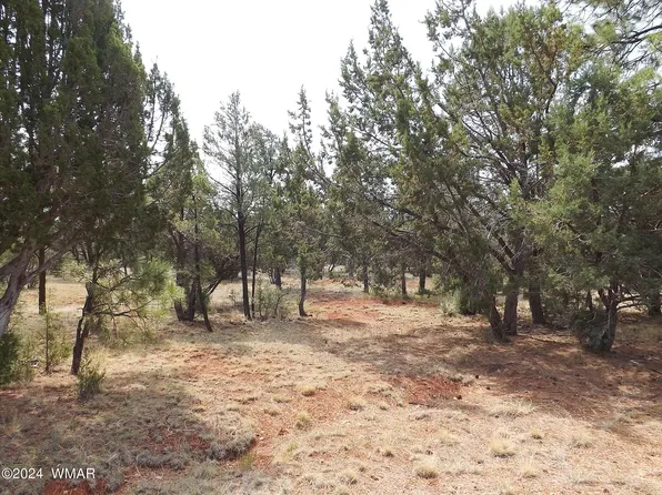 2747 Apollo Cir, Overgaard, AZ 85933
