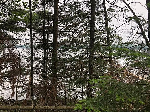 3rd image of LOT 7 Forest Hills Dr