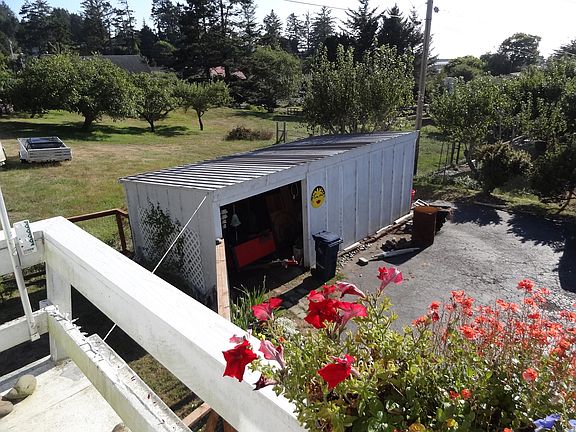 Looking at the shed