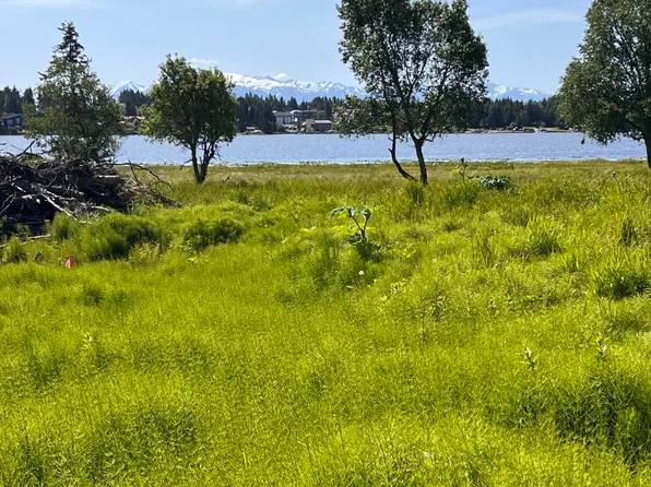 L45 Dahl St, Homer, AK 99603