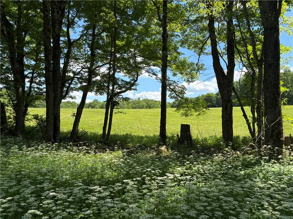 464 Reservoir Hill Rd Lot 42, Norwich, NY 13815