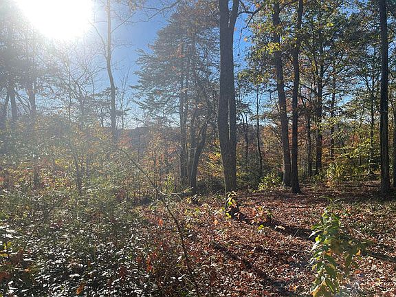 5th image of LOT 196 Stillwater Blvd