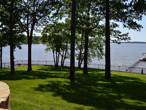 Large back yard, mature tree