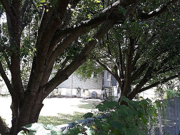 5th image of 2702 Halcyon Ave
