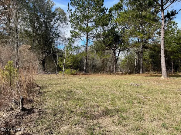 0 Welcome Church Rd, Sneads, FL 32460