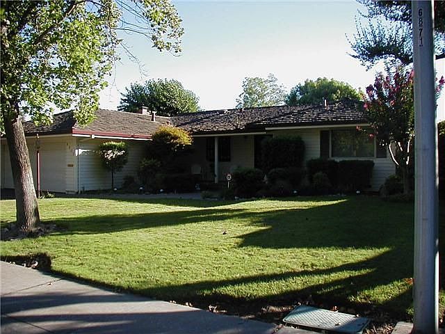 Front yard