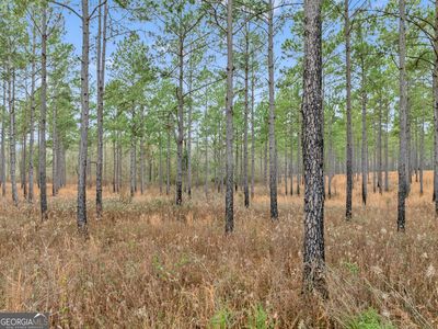0 Lost Creek Rd, Pelham, GA, 31779