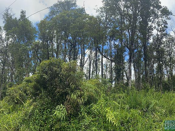 4th image of Bamboo Dr Lot 65