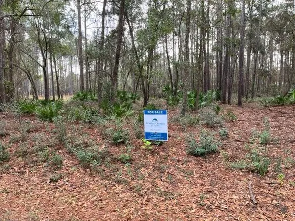 LOT 18 Meadow Ln SE, Darien, GA 31305