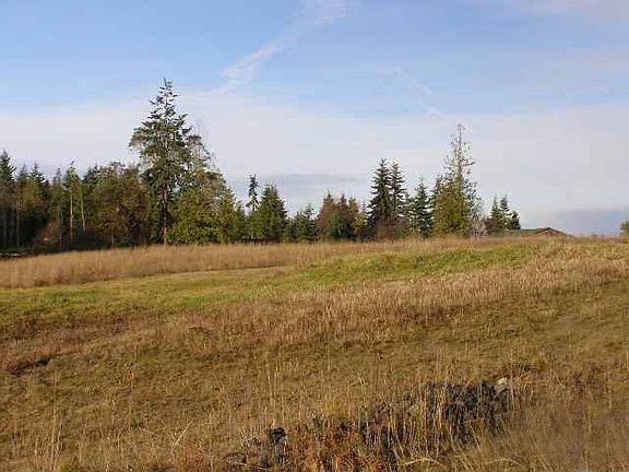 3rd image of 2 Blackberry Ln