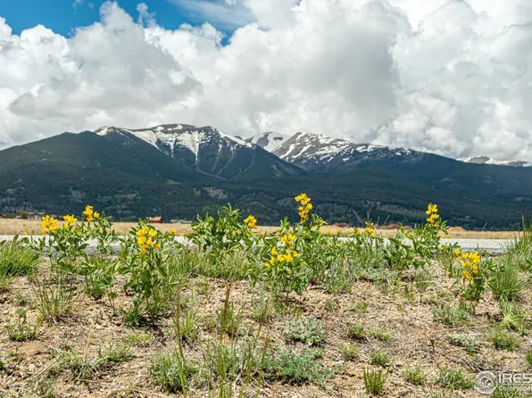 30858 Tanner Dr, Buena Vista, CO 81211