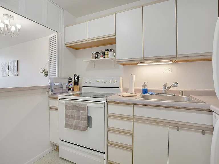 88 W Schiller St #703 — Photo 6
