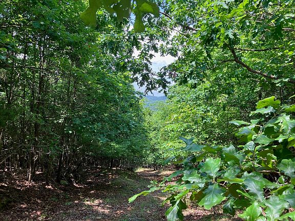3rd image of TRACT 5 Thompson Creek Ln