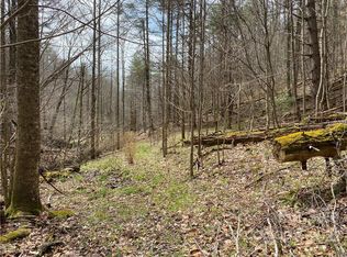 Brummetts Creek Rd, Green Mountain, NC 28740