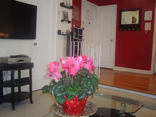 Sold by Benjamin Realty Since 1980 | media 21