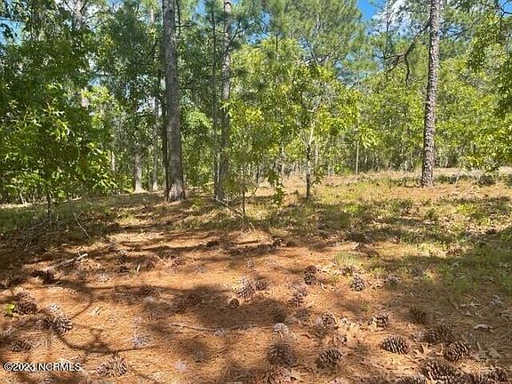 3rd image of 195 Longleaf Drive