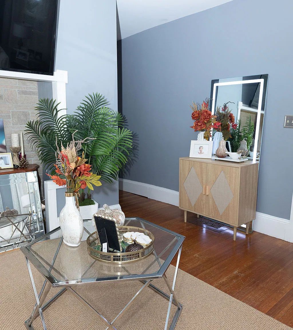 3 bed, 900 sqft, $3,500 — Photo 4