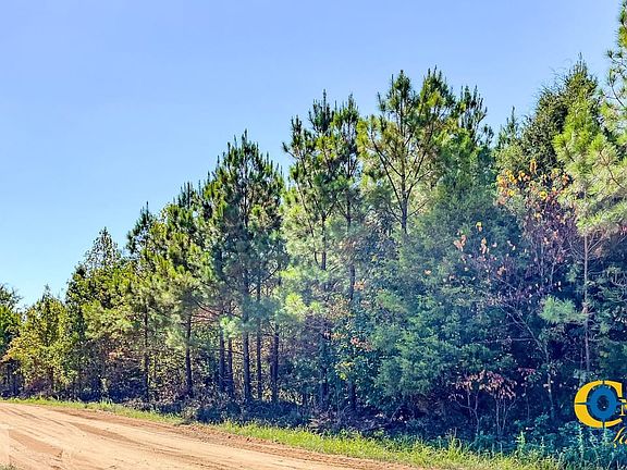 2nd image of Hurricane Creek Rd