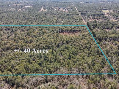 Holly Tree Ln, Crestview, FL, 32539