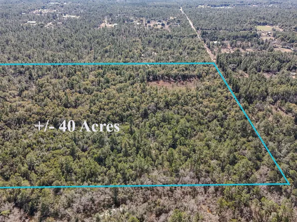 Holly Tree Ln, Crestview, FL 32539