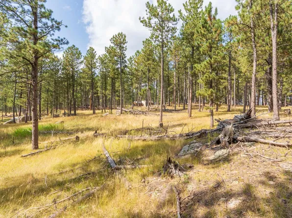 Weaver Dr, Custer, SD 57730