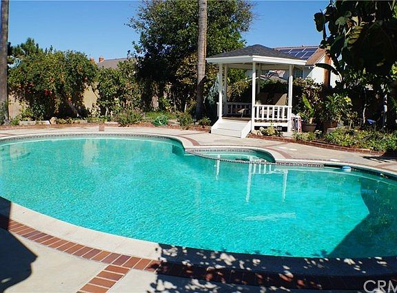 Beautiful Backyard- Sparkling pool/spa, pavilion, vegetable garden, palms, and fruit trees.