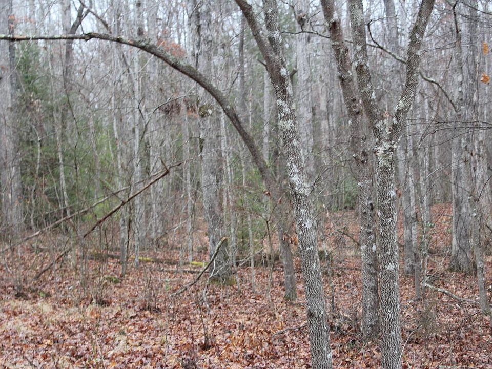 2nd image of 205 Whitehead Dr