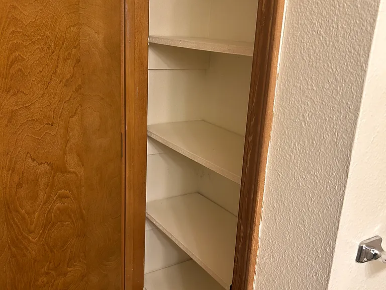 Linen Closet in main bathroom