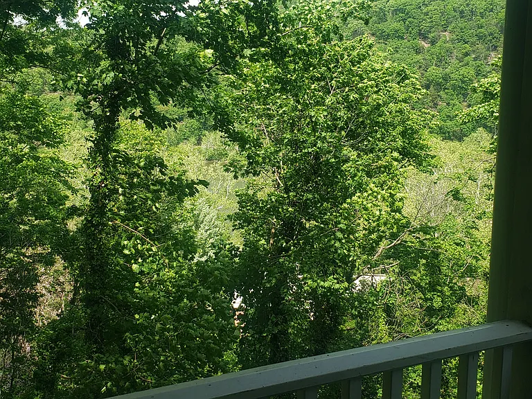 View off main level back balcony to river.