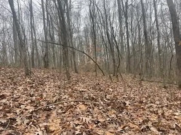 (undisclosed Address), South Webster, OH 45682