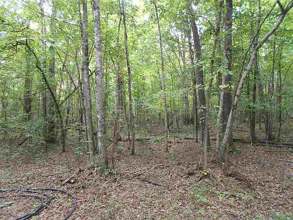 4th image of 000 County Road 228