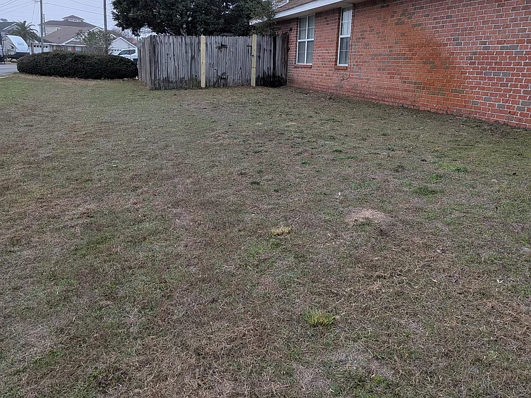 Side yard.