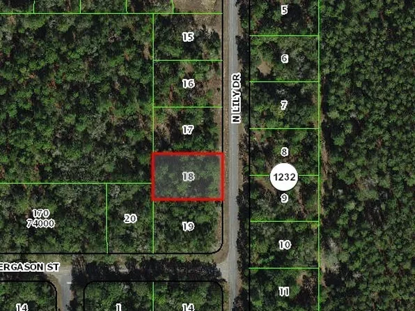 9538 N Lily Dr, Citrus Springs, FL 34434