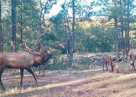 4th image of Elk Haven Rd